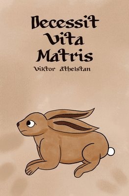 bokomslag Decessit Vita Matris