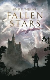 bokomslag Fallen Stars