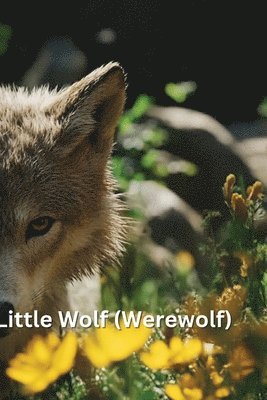 bokomslag Little Wolf (Werewolf)