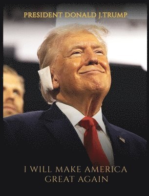 bokomslag New Donald Trump Book I Will Make America Great Again By Martin Stone