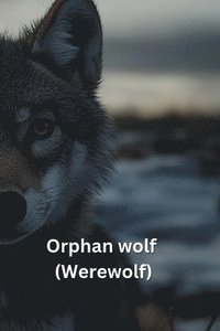 bokomslag Orphan Wolf (WEREWOLF)