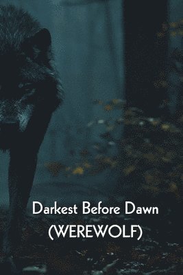 Darkest Before Dawn (WEREWOLF) 1