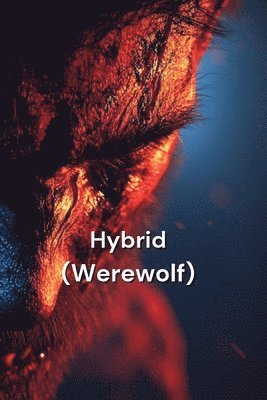 bokomslag Hybrid (Werewolf)