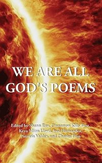 bokomslag We Are All God's Poems