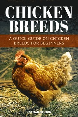 Norman Nelson - Chicken Breeds, Häftad