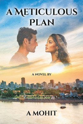 Meticulous Plan 1