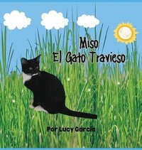 bokomslag Miso El Gato Travieso