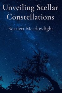 bokomslag Unveiling Stellar Constellations: Cultivating Inner Resilience Through Ethereal Embrace of Cosmological Rhythms