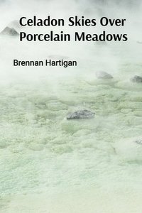 bokomslag Celadon Skies Over Porcelain Meadows: A Ceramicist's Odyssey Through Form, Texture, and Translucence