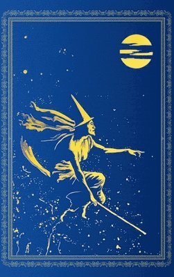 bokomslag Blue Fairy Book