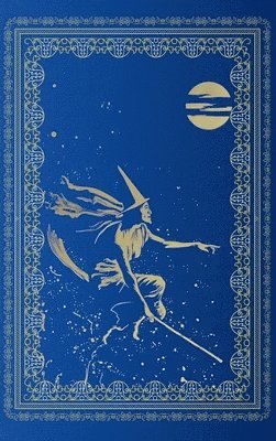 bokomslag The Blue Fairy Book