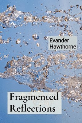 bokomslag Fragmented Reflections: A Mosaicist's Exploration of Shattered Beauty and Reassembled Worlds