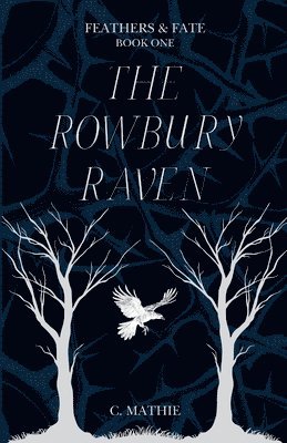 The Rowbury Raven 1