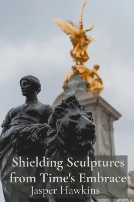 bokomslag Shielding Sculptures from Time's Embrace