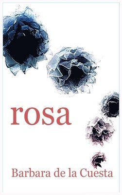 bokomslag Rosa The Driftless Unsolicited Novella Series