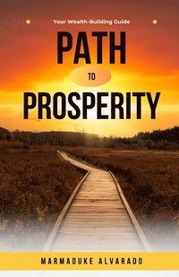 bokomslag Path to Prosperity: Your Wealth-Building Guide