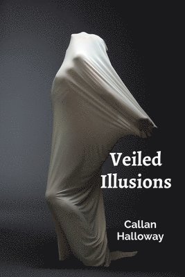 bokomslag Veiled Illusions