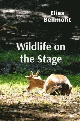 bokomslag Wildlife on the Stage: Puppets, Masks, and Performing Animals in Theatrical Traditions Worldwide