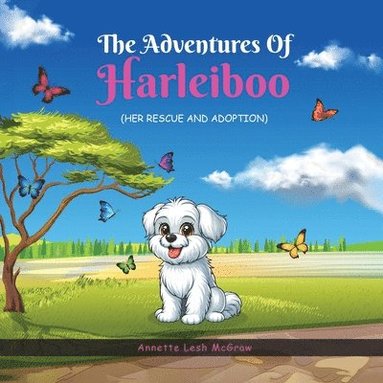 bokomslag Adventures of Harleiboo