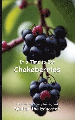 bokomslag It's Time to Eat Chokeberries