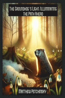 bokomslag Groundhog's Light