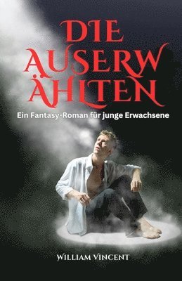 bokomslag Die Auserwählten: Ein Fantasy-Roman für junge Erwachsene