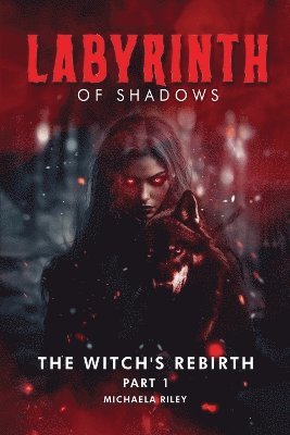 bokomslag Labyrinth of Shadows