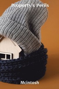 bokomslag Property's Perils