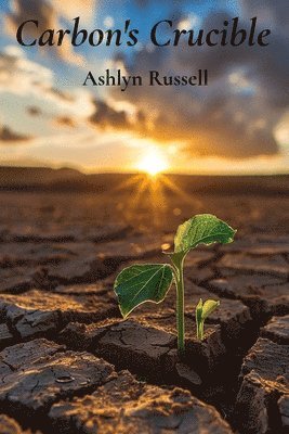 bokomslag Carbon's Crucible: Soil's Role in Carbon Sequestration and Climate Change Mitigation