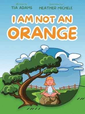 bokomslag I Am Not an Orange