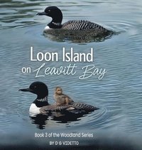 bokomslag Loon Island on Leavitt Bay