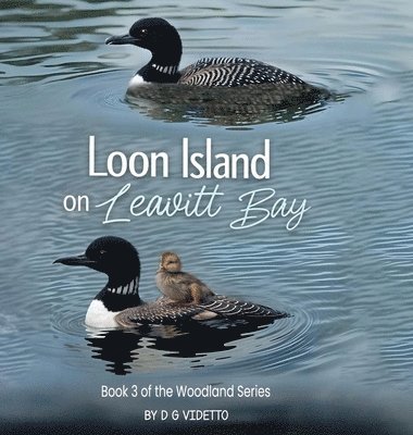 Loon Island on Leavitt Bay