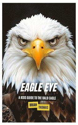 bokomslag Eagle Eye