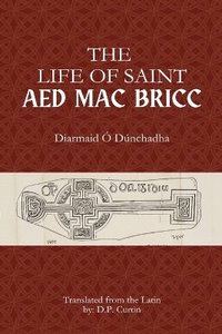 bokomslag Life of Saint Aed mac Bricc
