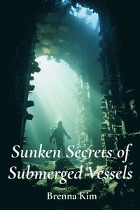 bokomslag Sunken Secrets of Submerged Vessels