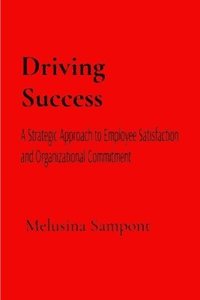 bokomslag Driving Success