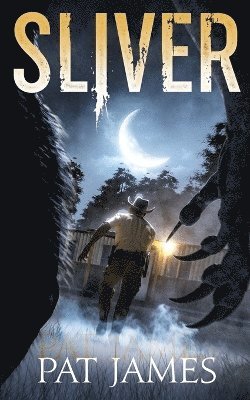 Sliver 1