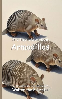 It's Time to Learn about Armadillos 1