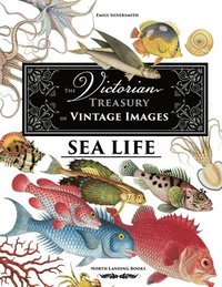 bokomslag Victorian Treasury of Vintage Images - Sea Life