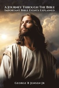 bokomslag Journey Through The Bible