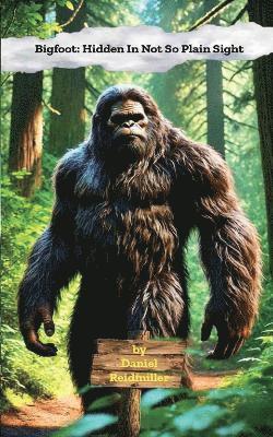 Bigfoot Hidden In Not So Plain Sight 1