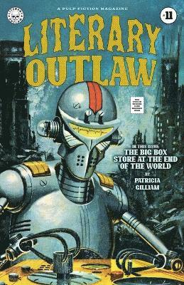 bokomslag Literary Outlaw #11