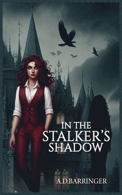 bokomslag In the Stalker's Shadow