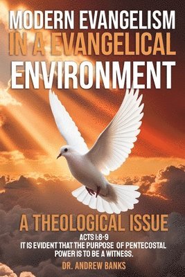 bokomslag Modern Evangelism in a Evangelical Environment