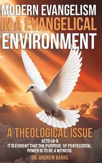 bokomslag Modern Evangelism in a Evangelical Environment: A Theological Issue