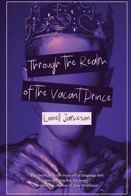bokomslag Through the Realm of the Vacant Prince