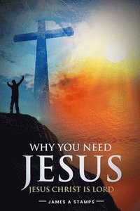 bokomslag Why You Need Jesus