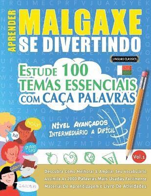 bokomslag Aprender Malgaxe Se Divertindo! - Nível Avançados