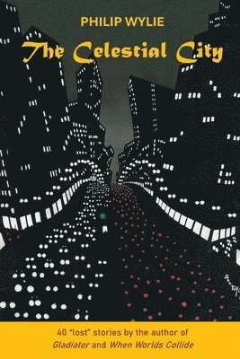 bokomslag Celestial City