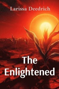 bokomslag Enlightened